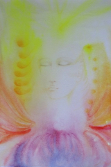 Bild010
