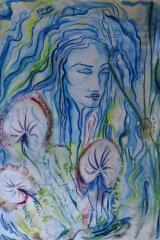 Bild029